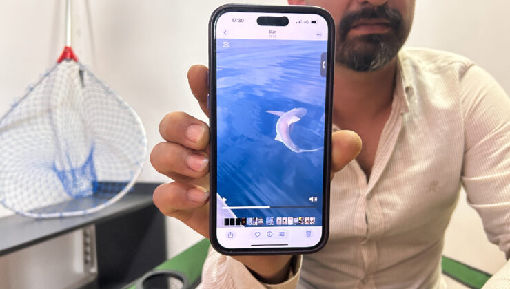 Hatay’da oltaya köpek balığı takılınca kurtulmak için çabaladılar