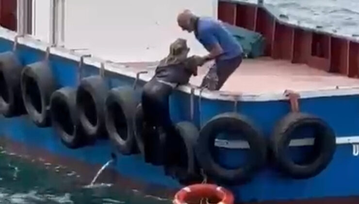 İstanbul Kartal’da vapurdan düşen bayanı balıkçılar kurtardı