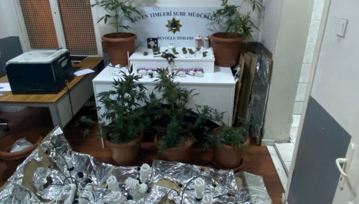 İstanbul’da kiraladıkları daireye uyuşturucu serası kurdular