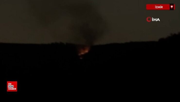 İzmir’de ormanı yakan 5 defineci tutuklandı