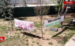 Kadıköy Kalamış Park’ını betona boğdular: Halk isyan etti