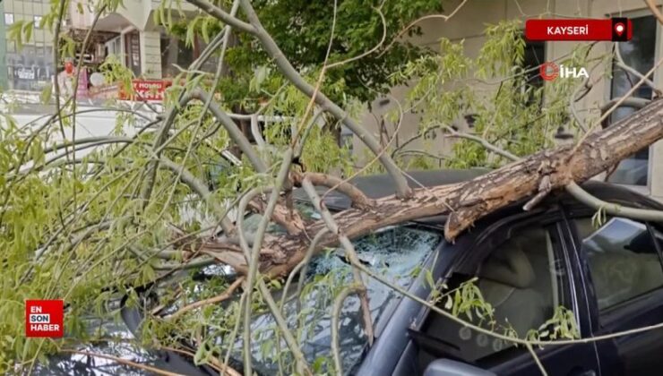 Kayseri’de rüzgarda kırılan ağaç kolu arabaların üzerine düştü