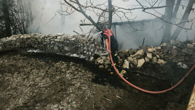 Kütahya’da kümes yangını: 100 tavuk öldü