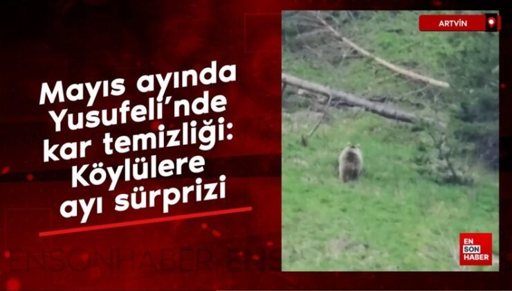 Mayıs ayında Yusufeli’nde kar paklığı: Köylülere ayı sürprizi
