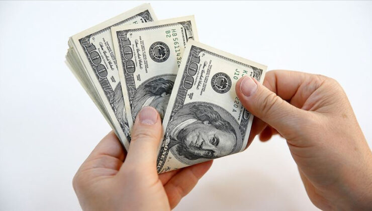 Merkez Bankası rezervleri 138 milyar 532 milyon dolar oldu