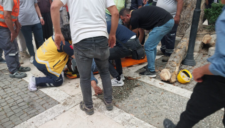 Mersin’de belediye çalışanı budama sırasında 5 metreden düştü