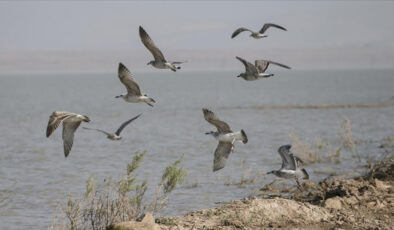 Milleyha Kuş Cenneti müdafaa altına alındı