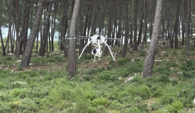 Muğla’da orman yangınlarına karşı yeni tedbirler