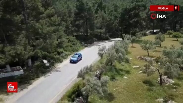 Muğla’da orman yangınlarına karşı yeni tedbirler