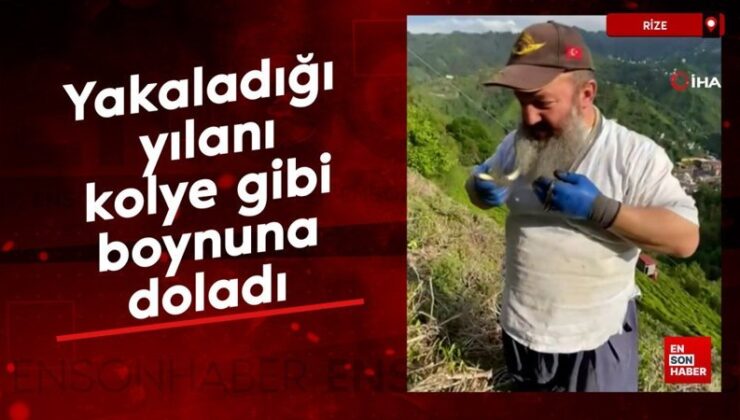 Rize’de yakaladığı yılanı kolye üzere boynuna doladı