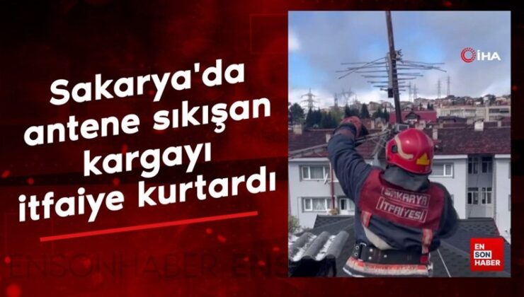 Sakarya’da antene sıkışan kargayı itfaiye kurtardı