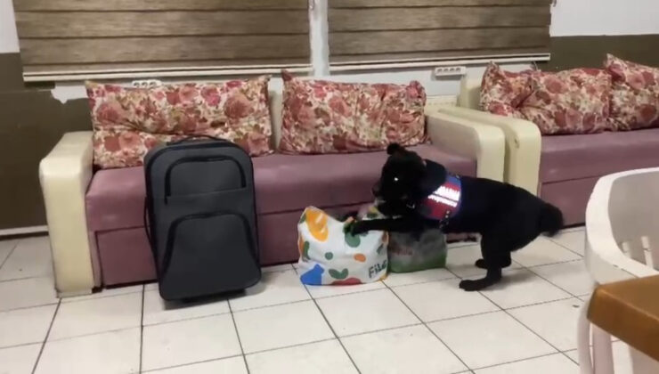 Samsun’da uyuşturucu operasyonu düzenlendi