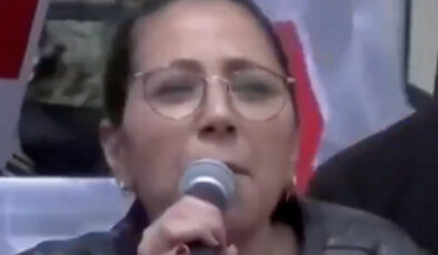 Sera Kadıgil’den basın açıklaması: Bütün köpekler ismine sesleniyorum