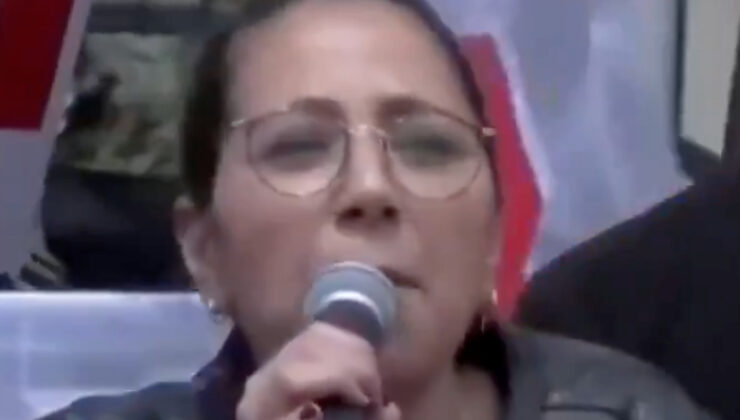 Sera Kadıgil’den basın açıklaması: Bütün köpekler ismine sesleniyorum