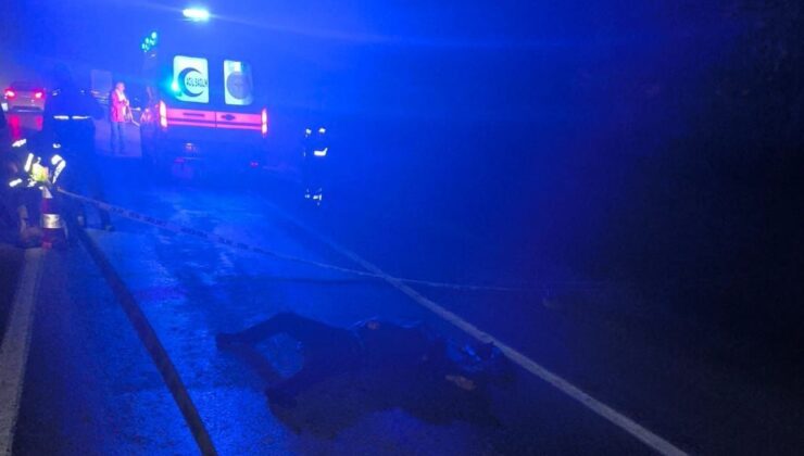 Siirt’te tırın çarptığı engelli şahıs can verdi