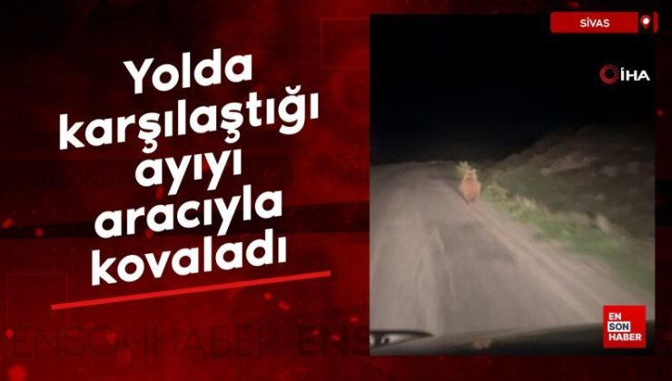 Sivas’ta yolda karşılaştığı ayıyı aracıyla kovaladı