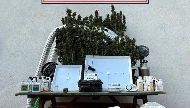 Tekirdağ’da bir meskende elbise dolabı uyuşturucu serası çıktı