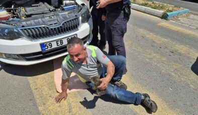 Tekirdağ’da kedi sesiyle, kedi kurtarma operasyonu