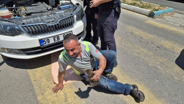 Tekirdağ’da kedi sesiyle, kedi kurtarma operasyonu