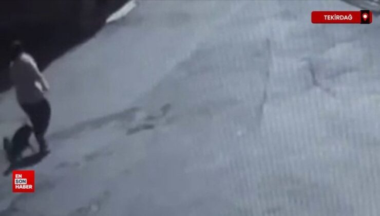 Tekirdağ’da sahipsiz köpeğin ısırdığı bayan yaralandı