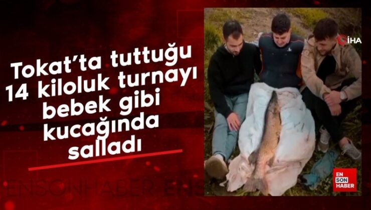 Tokat’ta tuttuğu 14 kiloluk turnayı bebek üzere kucağında salladı