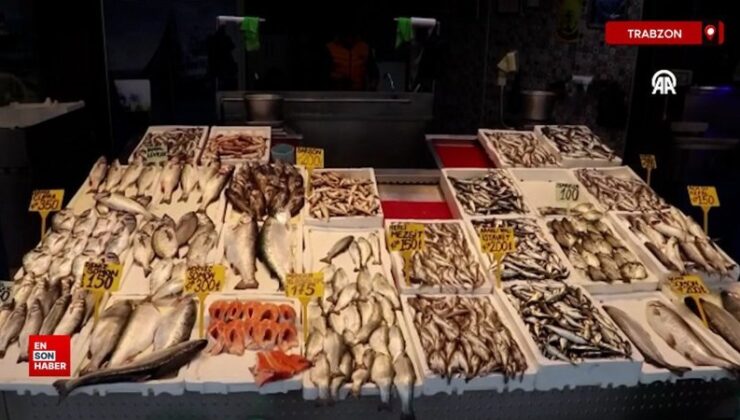 Trabzon’da balıkçı tezgahlarında mezgit ve istavrit istek görüyor