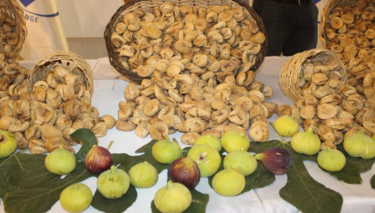 Türkiye’nin kuru incir ihracatı yüzde 28 büyüdü