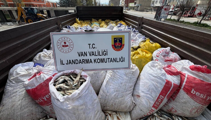 Van’da 3 ton 820 kg kaçak avlanmış balık ele geçirildi