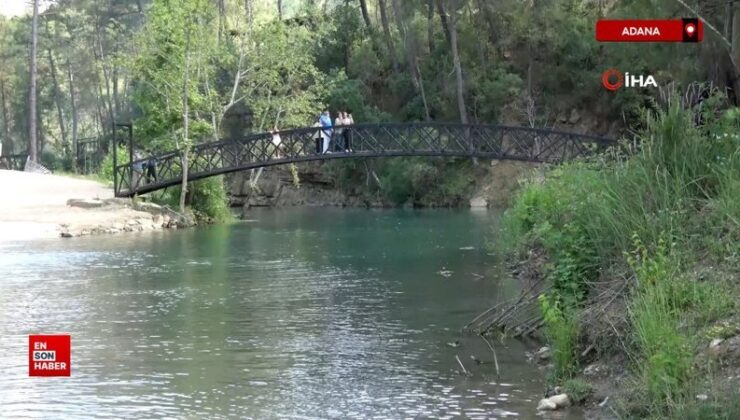 Adana sıcağından kaçan Yedigöze tabiat parkında serinliyor