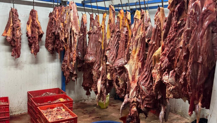 Adana’da 3 ton bozulmuş at eti ele geçirildi