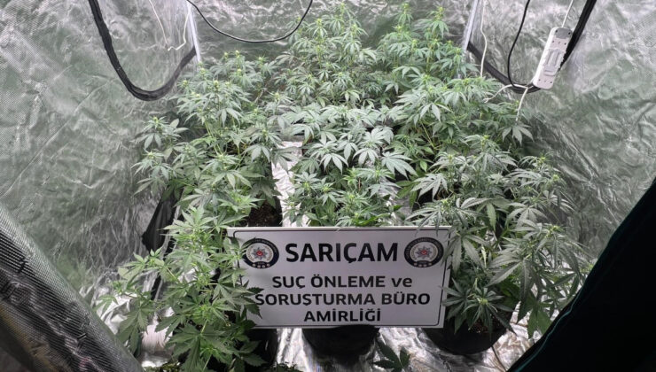 Adana’da apartman dairesine uyuşturucu serası