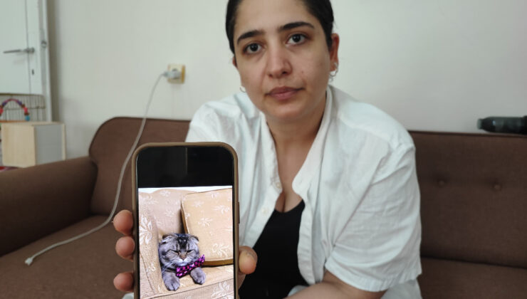 Adana’da kedileri kayboldu, kocası “boşanırım” dedi