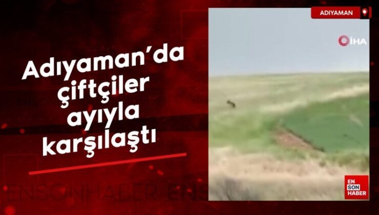 Adıyaman’da çiftçiler ayıyla karşılaştı