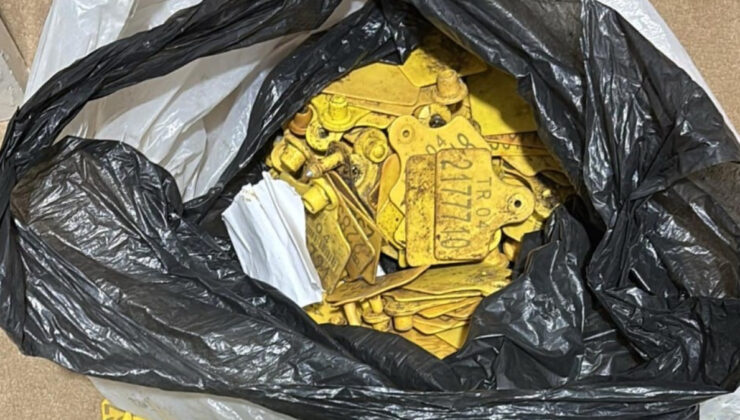 Ağrı’da adapsız hayvan sevk dokümanı operasyonu: 9 gözaltı