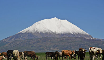 Ağrı’daki Kösedağ’ın doruğu baharda karla kaplandı