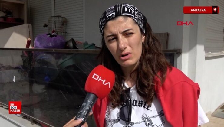 Antalya’da apartmanda köpek besleme krizi