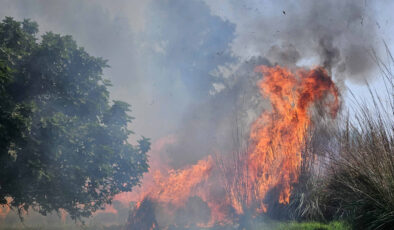 Antalya’da çalılıkta çıkan yangına 1,5 saatlik müdahale