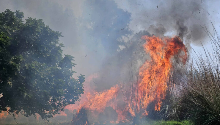 Antalya’da çalılıkta çıkan yangına 1,5 saatlik müdahale