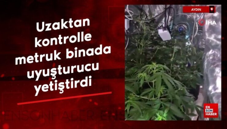 Aydın’da uzaktan denetimle metruk binada uyuşturucu yetiştirdi