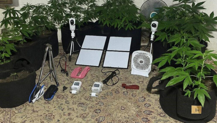 Aydın’da uzaktan denetimle yetiştiren genç yakalandı