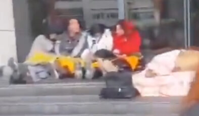 Başıboş köpekler için Ankara’da oturma aksiyonu: Polise hakaret ettiler