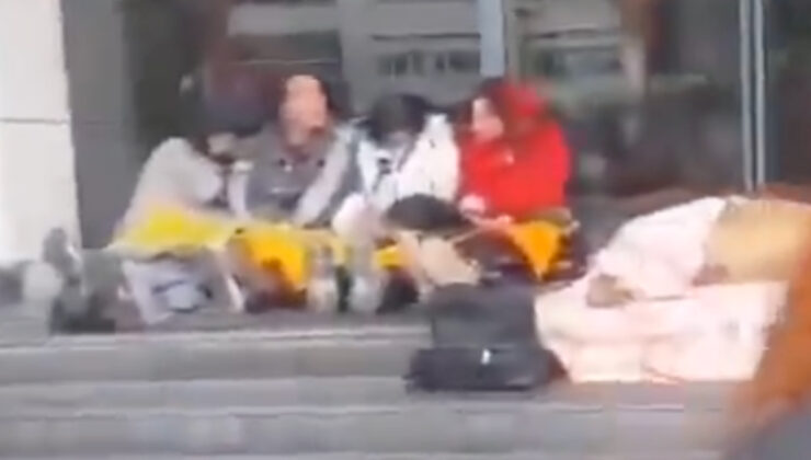 Başıboş köpekler için Ankara’da oturma aksiyonu: Polise hakaret ettiler