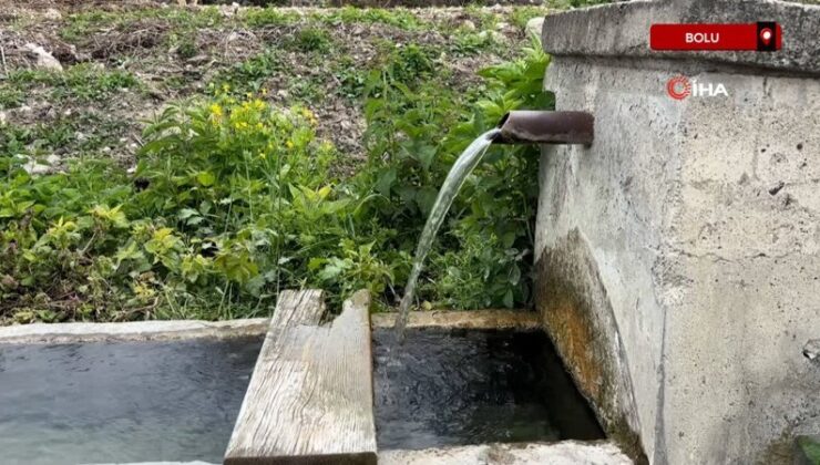 Bolu’da 4 köyde içme suyundan zehirlenme kuşkusu