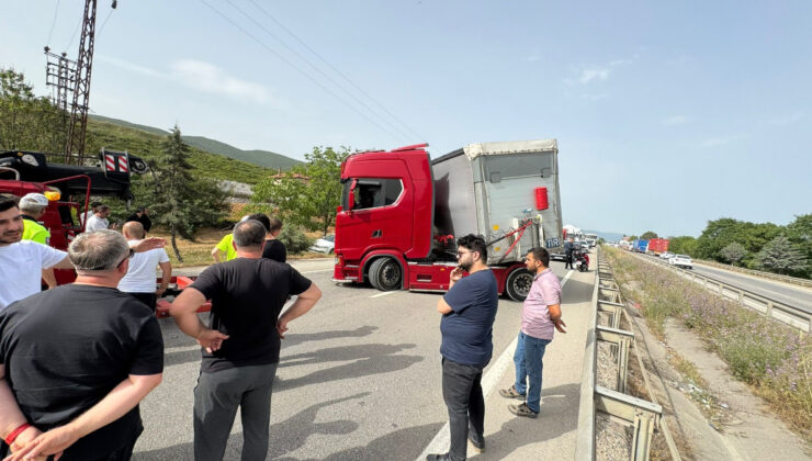 Bursa’da arı ısırdı, şoför şoka girdi