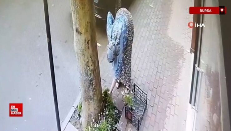 Bursa’da dükkanın önüne koyulan çiçekler çalındı