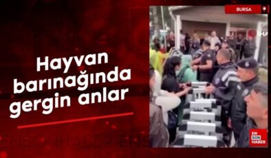 Bursa’da hayvan barınağında gergin anlar