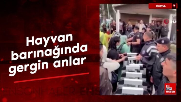 Bursa’da hayvan barınağında gergin anlar