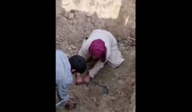 Bursa’da köpek cesetlerini mezardan çıkarmaya çalıştılar