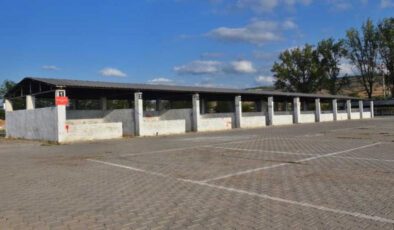 Bursa’da şap hastalığı nedeniyle hayvan hareketleri durduruldu