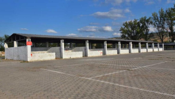 Bursa’da şap hastalığı nedeniyle hayvan hareketleri durduruldu